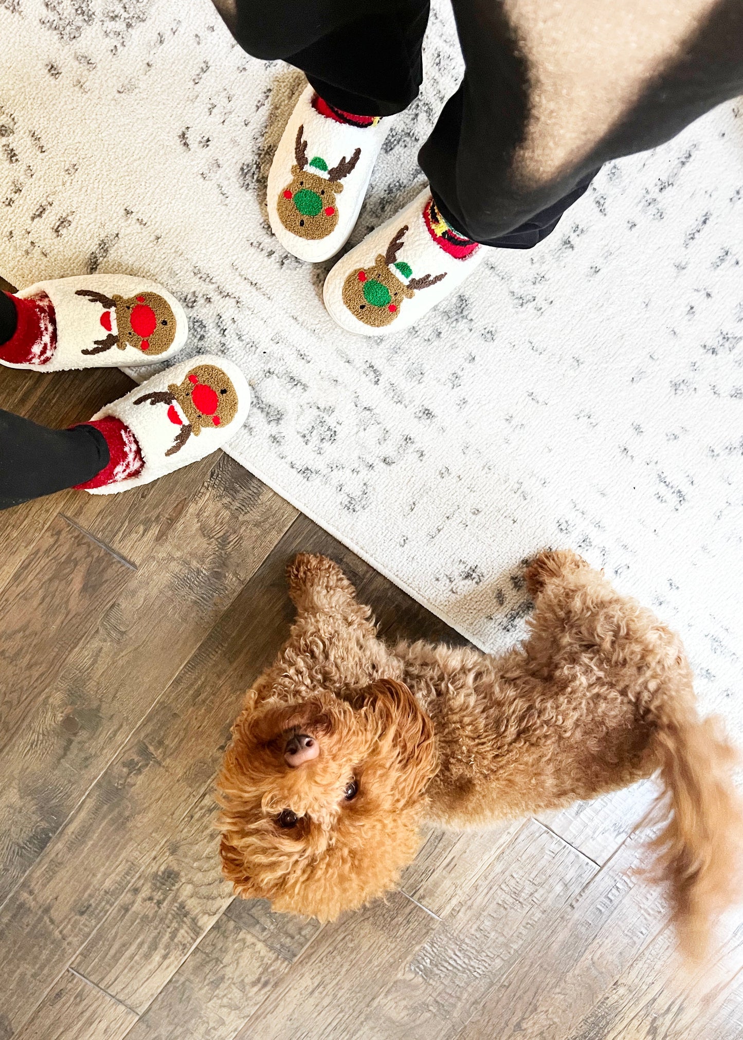 Reindeer Slippers Green - Slippers